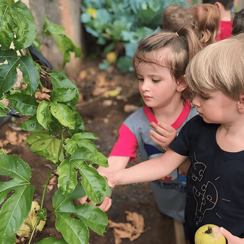 Solis Centro Educacional 10