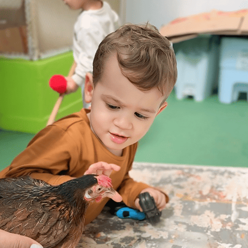 Solis Centro Educacional 14