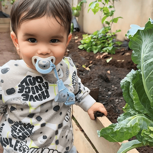 Solis Centro Educacional 24