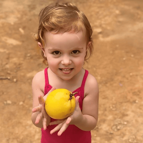 Solis Centro Educacional 3